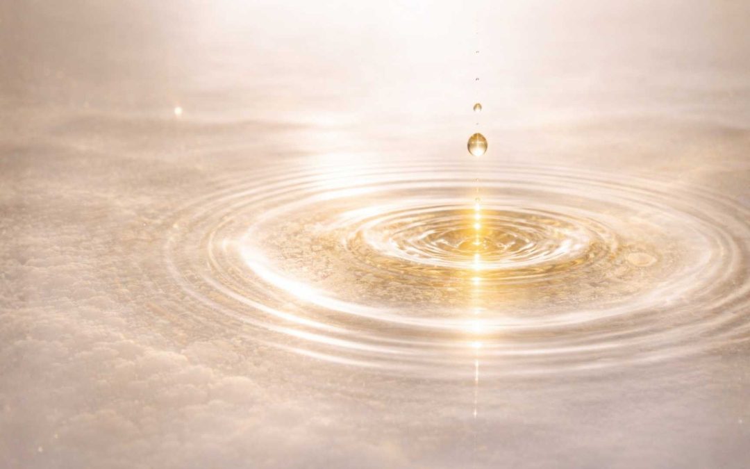 The Quantum Intelligence of Cell Division